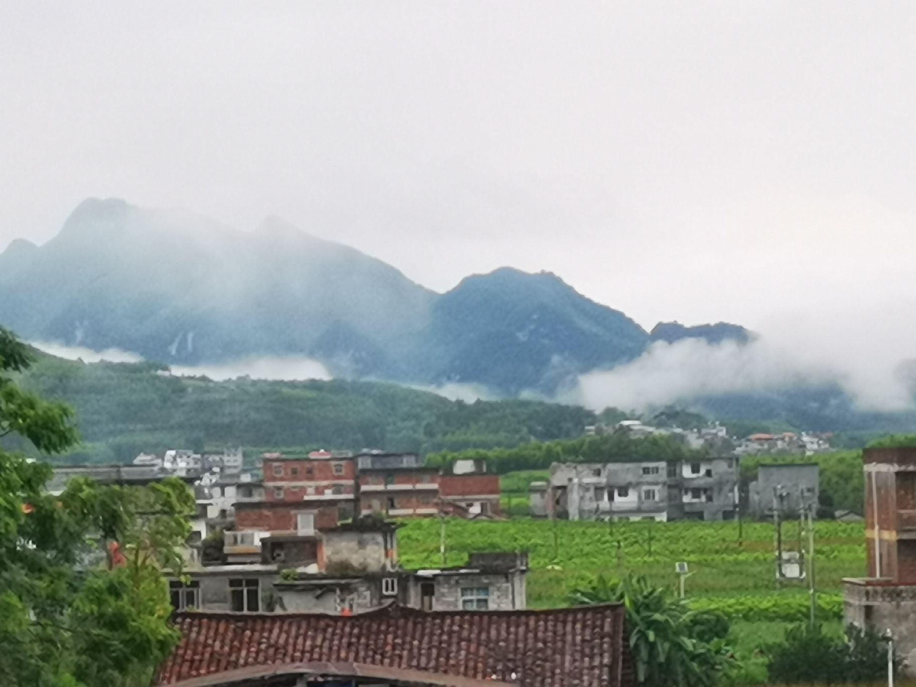 金钗石林城堡景区旅行图片 1