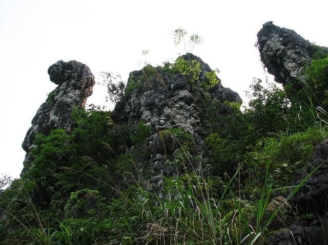 金钗石林城堡景区旅行图片 3