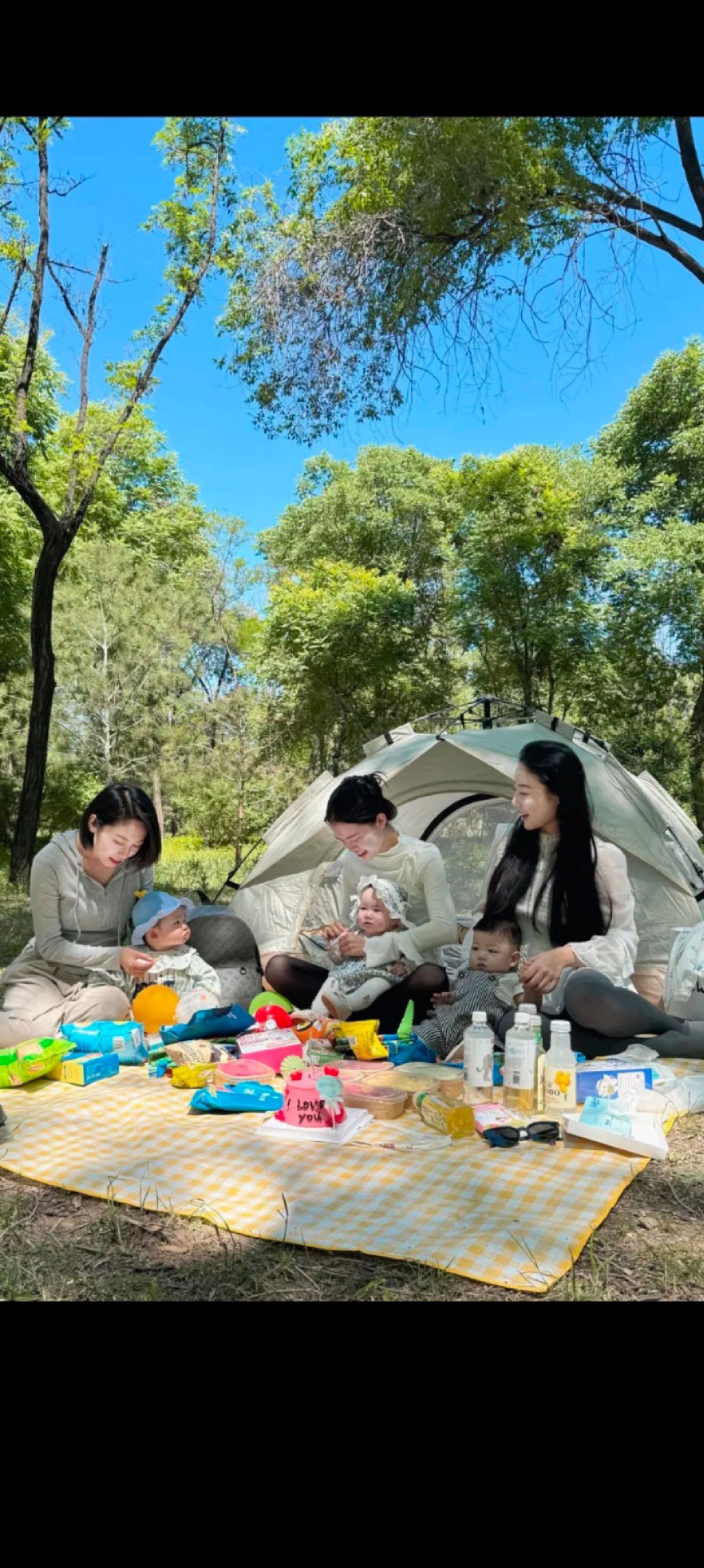 灵石森林公园旅行图片 2