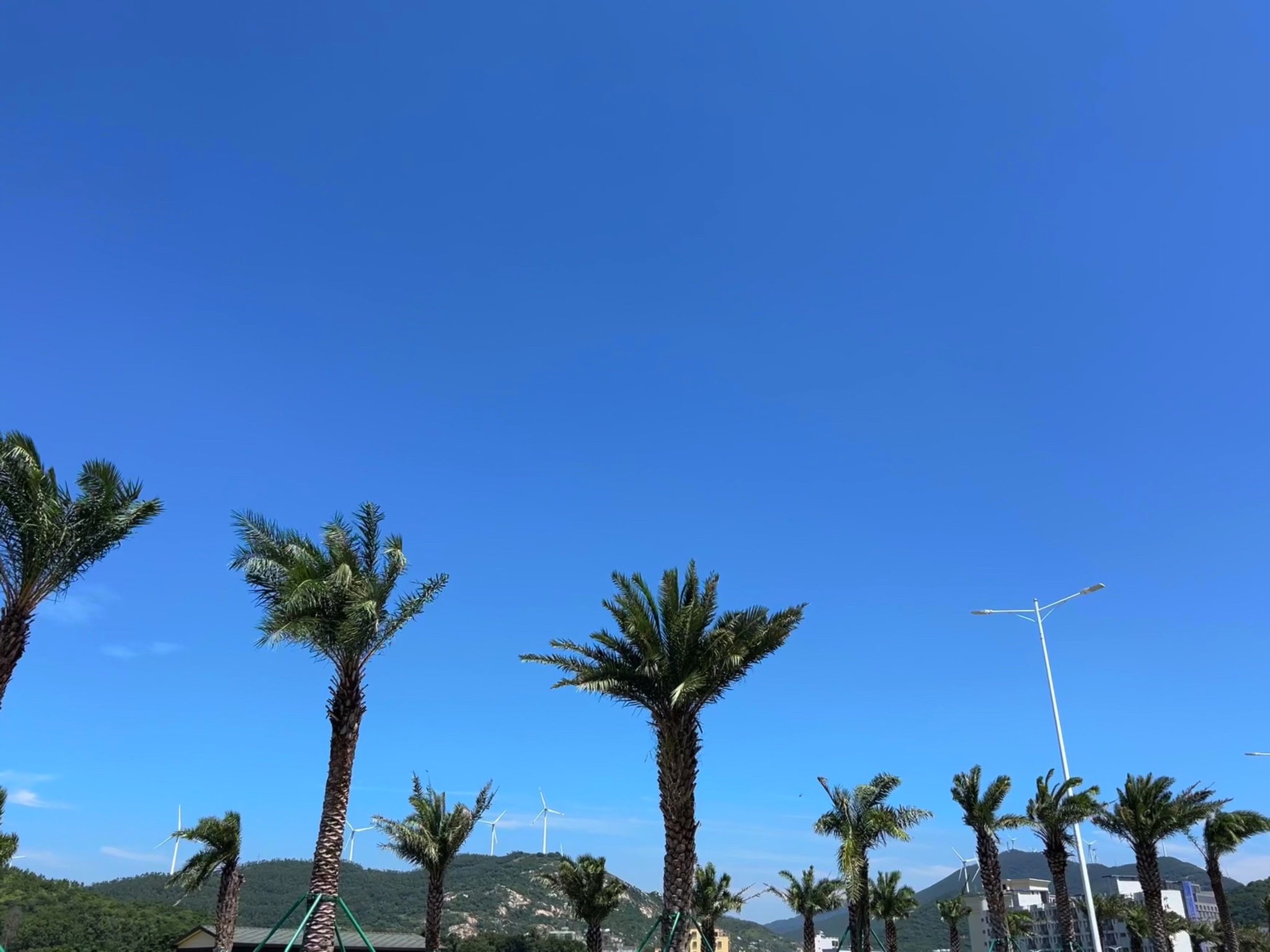 珍珠湾旅行图片 1