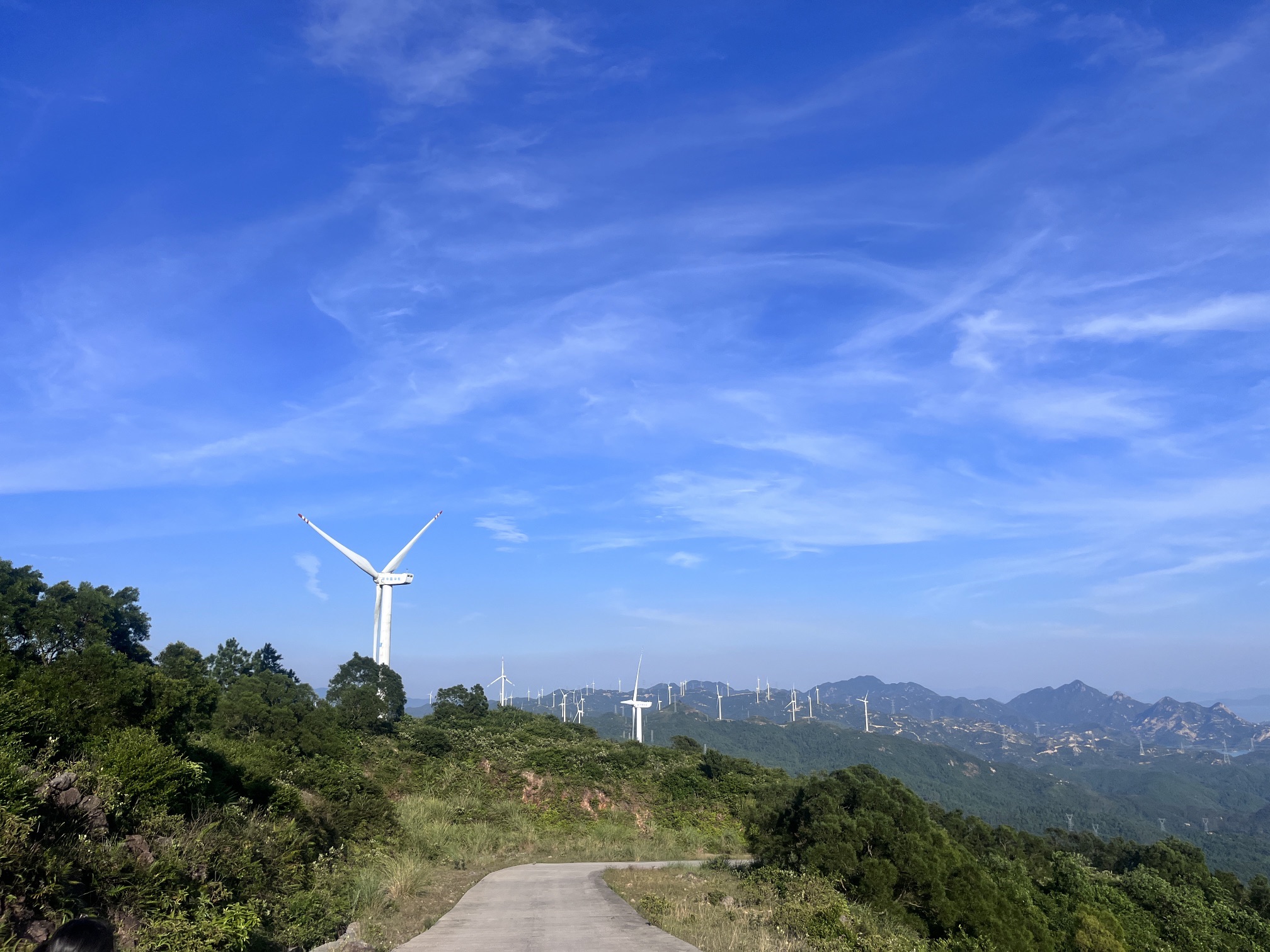 珍珠湾旅行图片 3