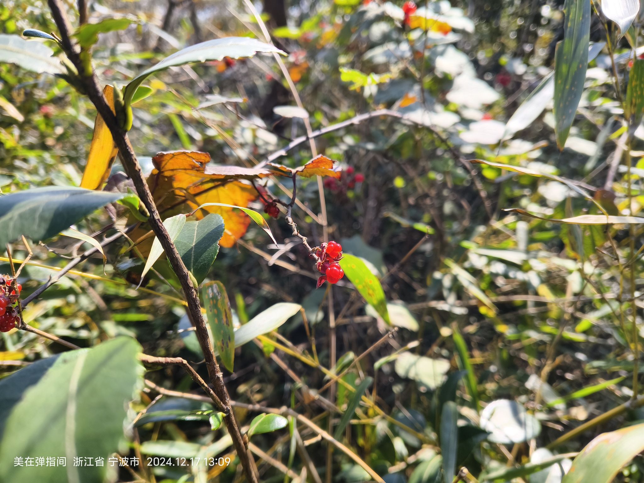 总台山烽火台旅行图片 3