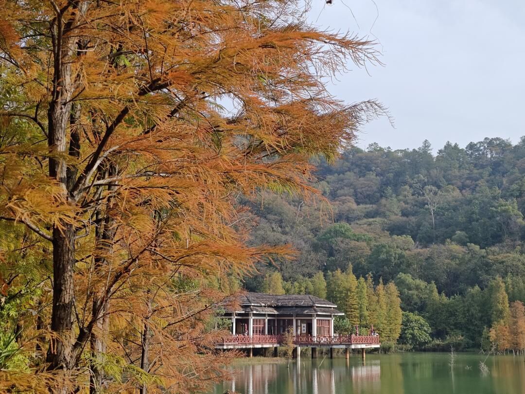 新会石涧公园旅行图片 2