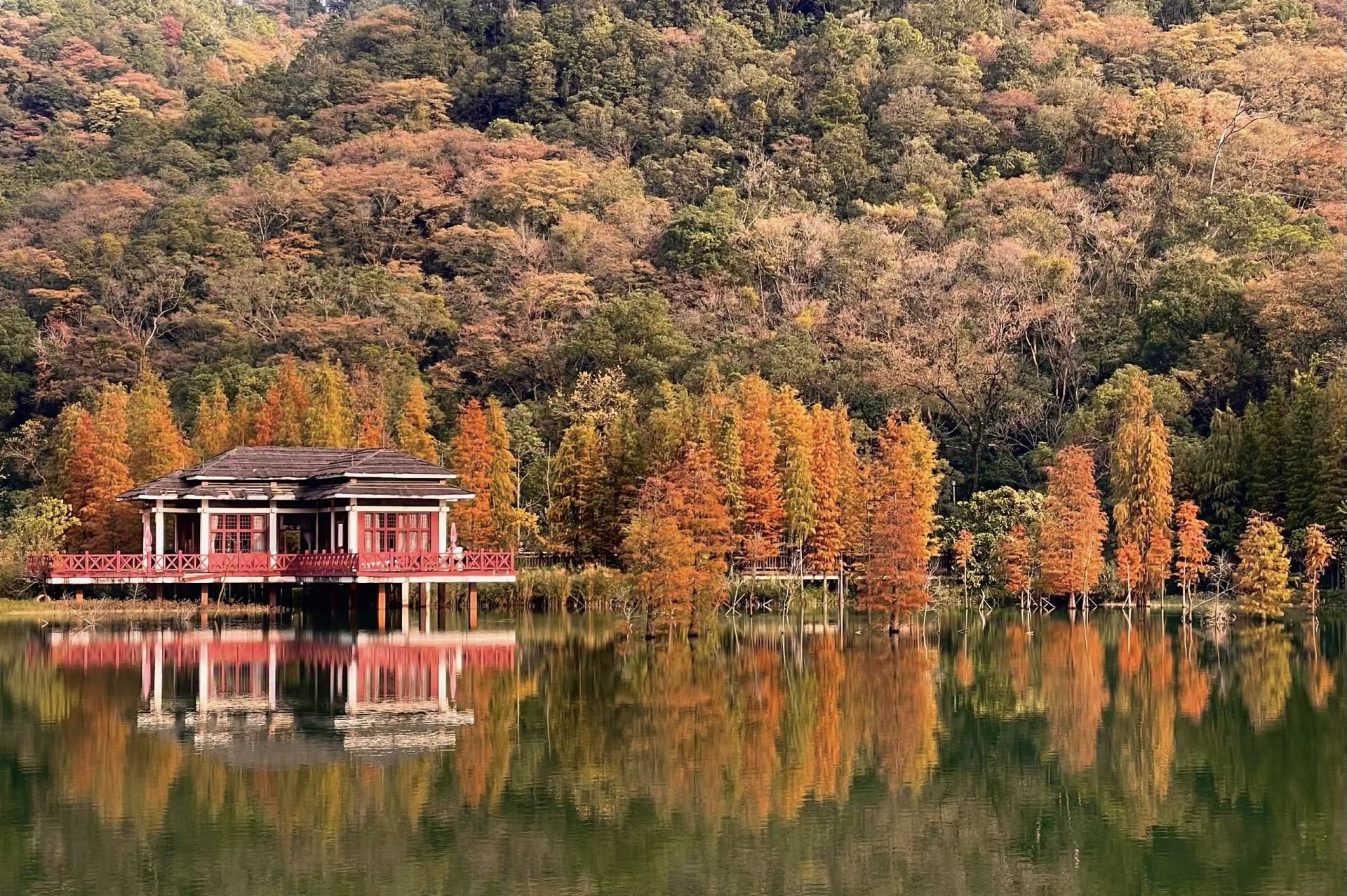 新会石涧公园旅行图片 1