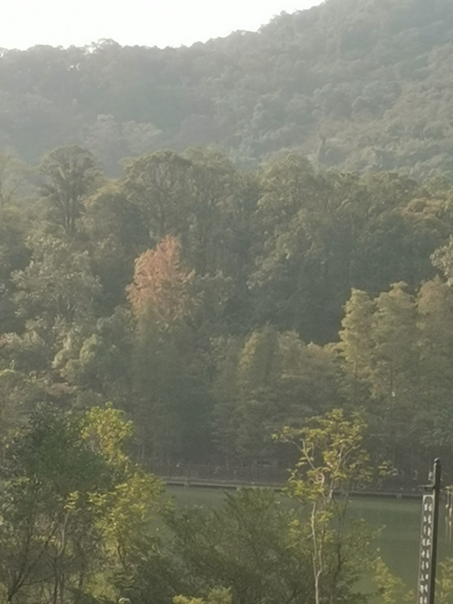新会石涧公园旅行图片 3