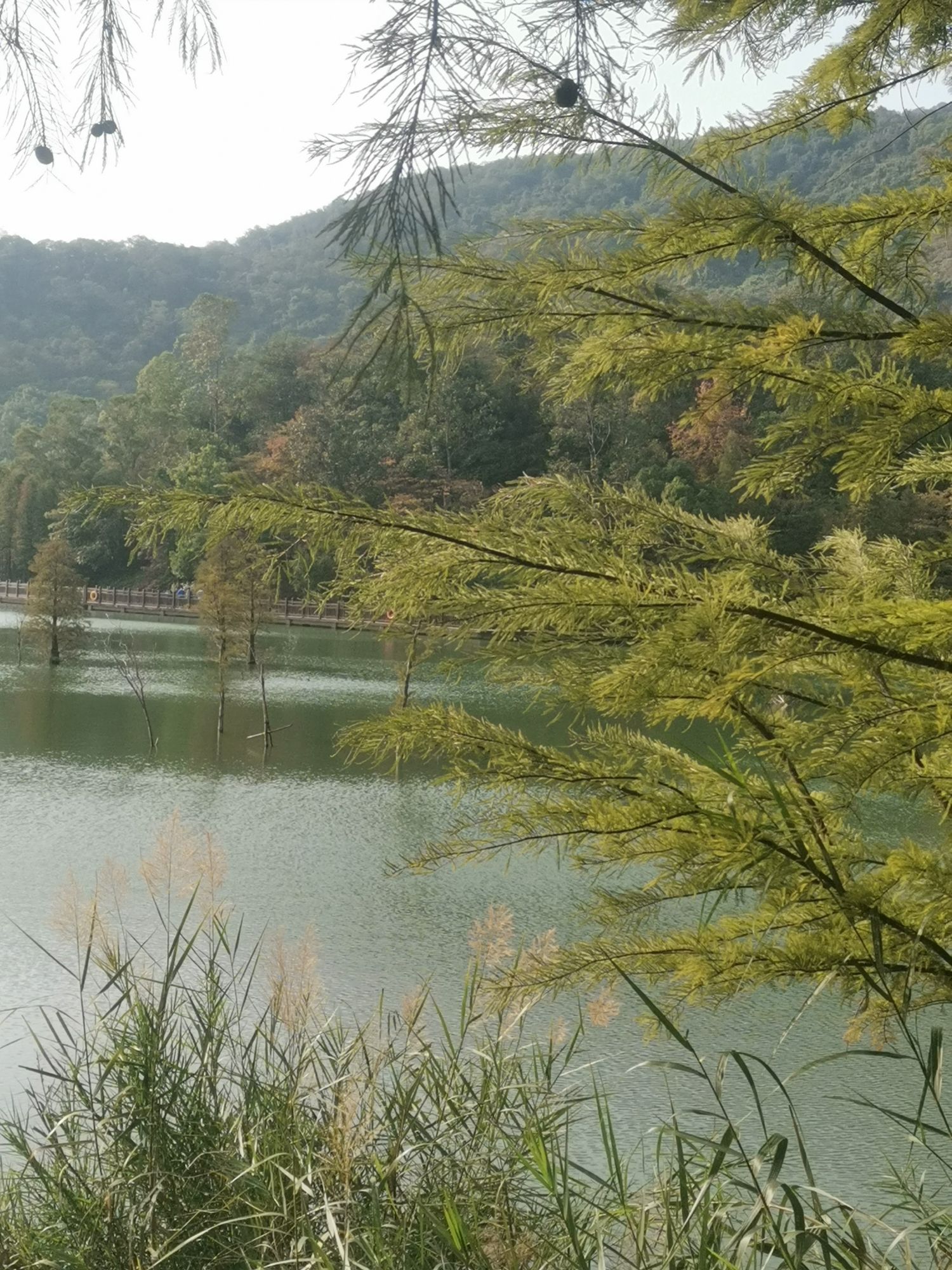 新会石涧公园旅行图片 1