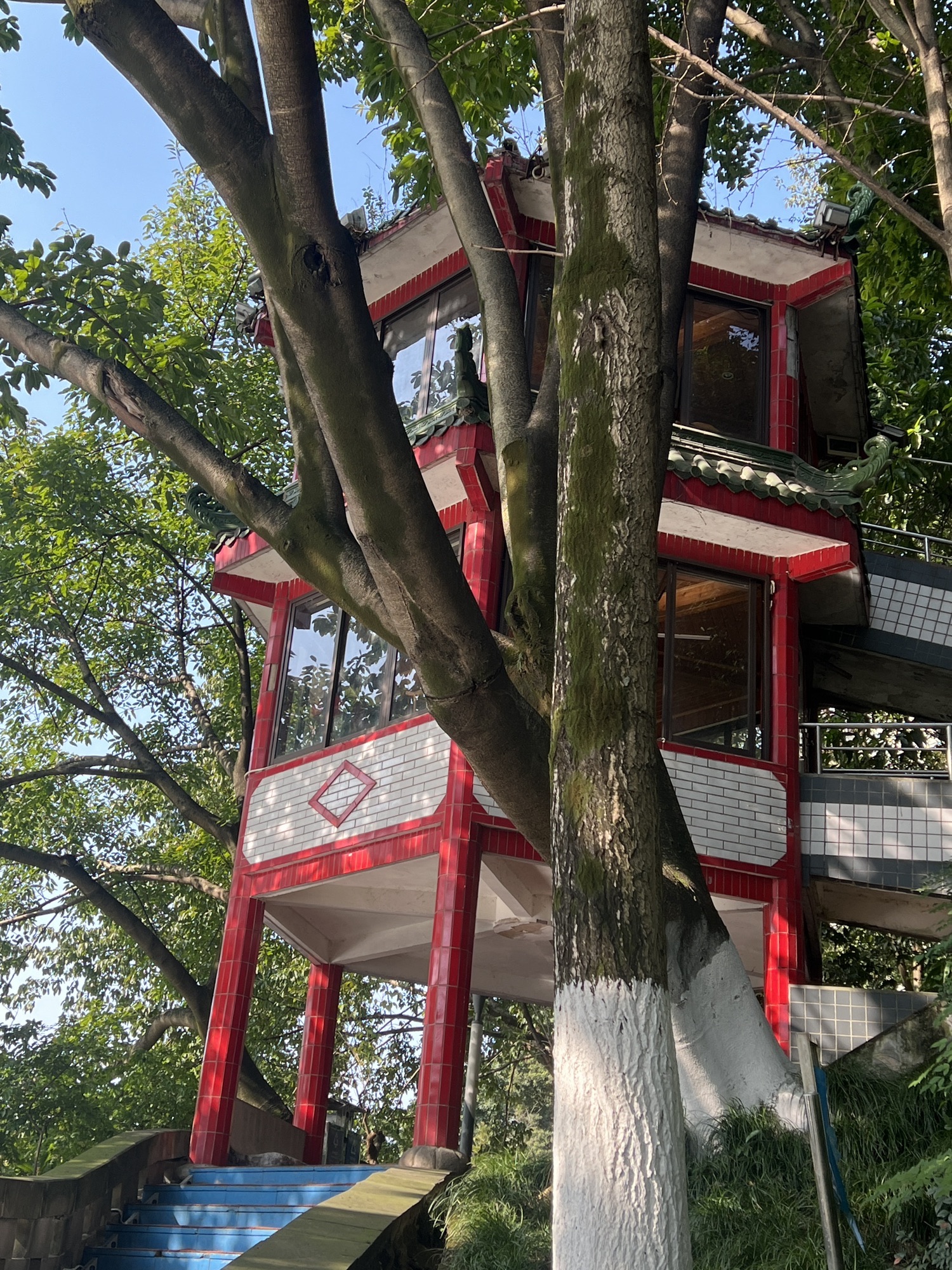 双龙湖公园旅行图片 3