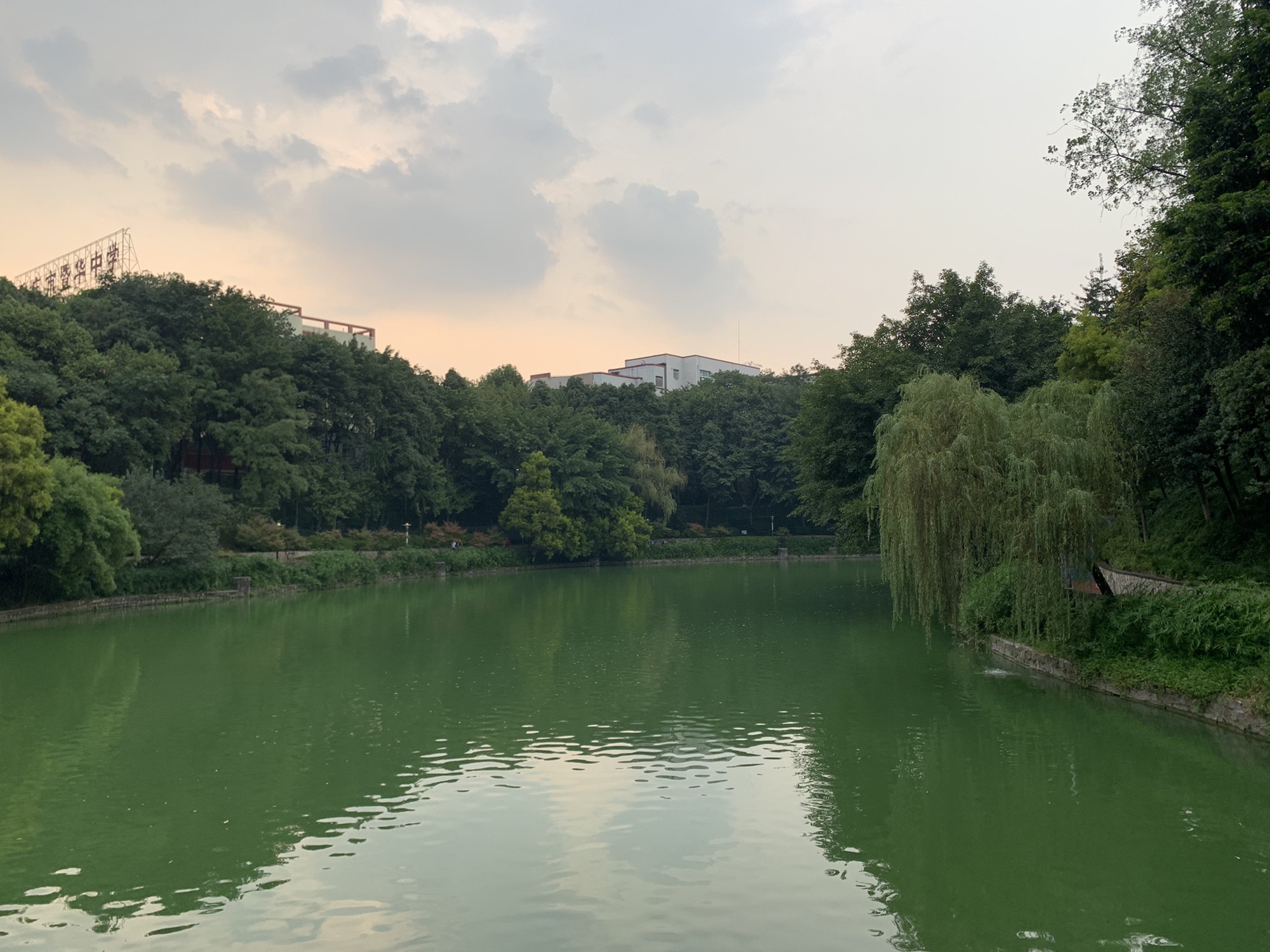 双龙湖公园旅行图片 1