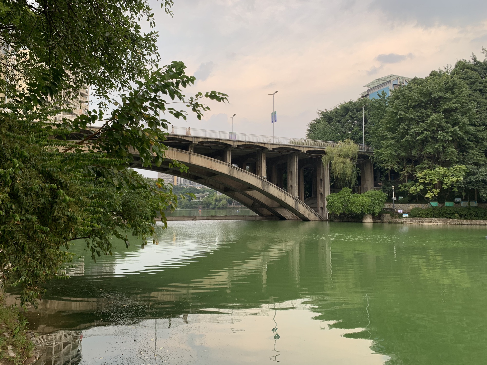 双龙湖公园旅行图片 3