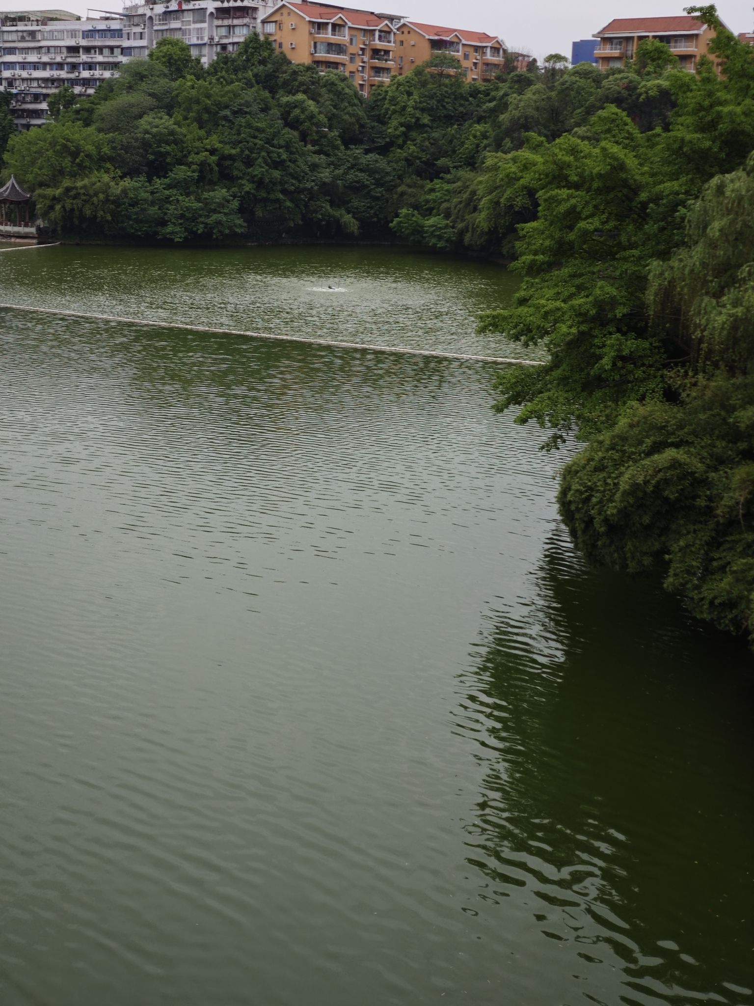 双龙湖公园旅行图片 3