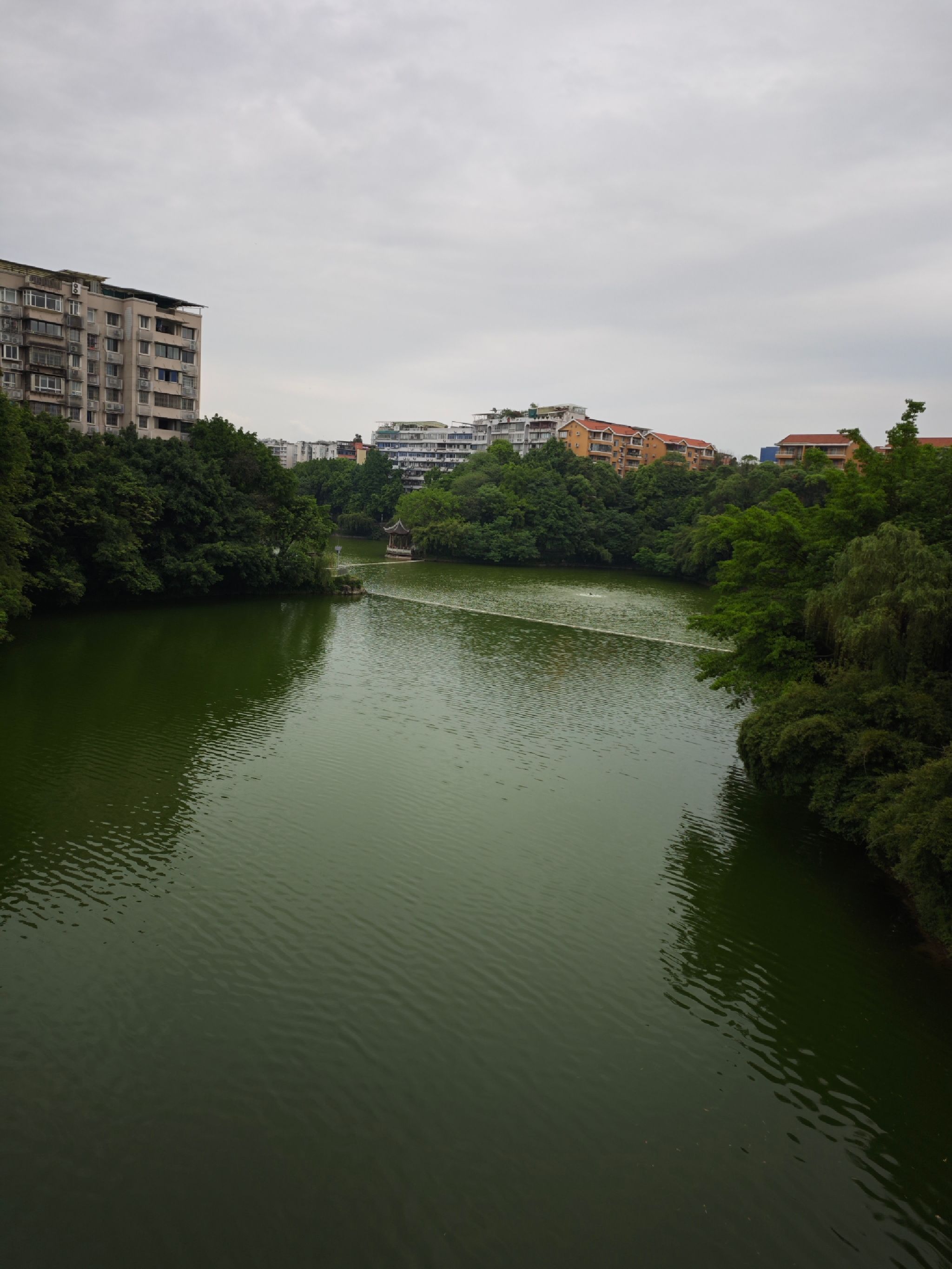 双龙湖公园旅行图片 1
