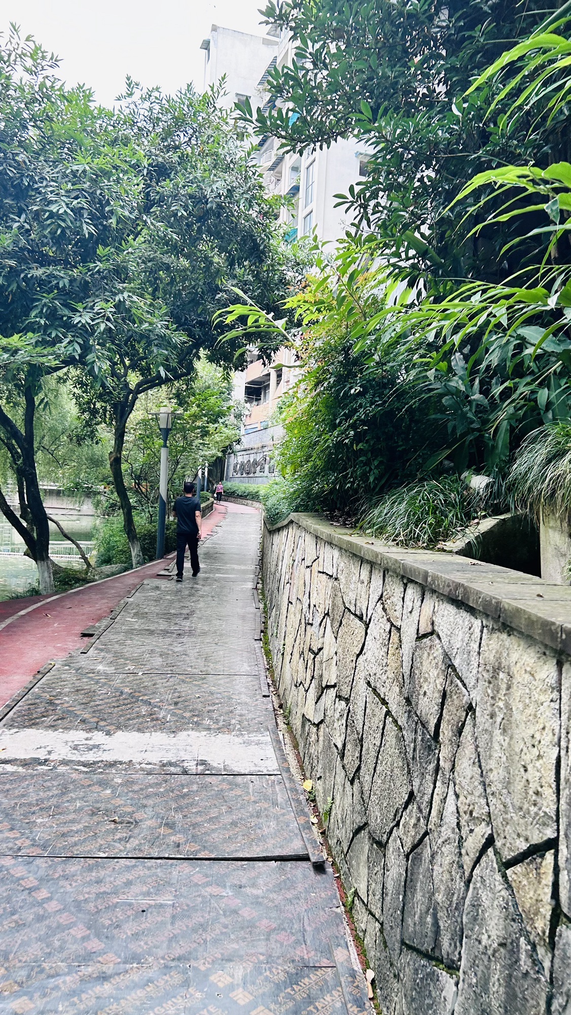 双龙湖公园旅行图片 2
