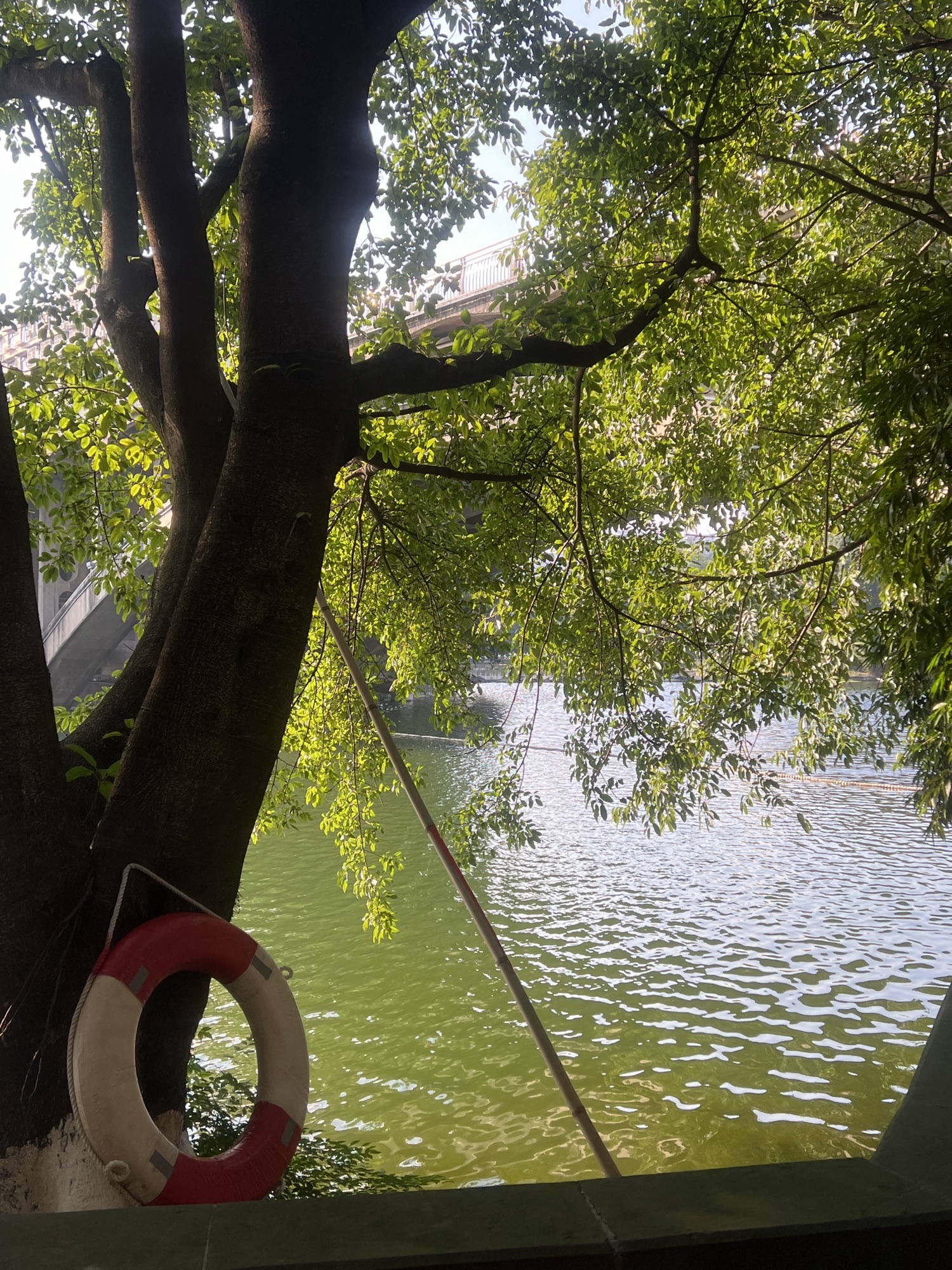 双龙湖公园旅行图片 1
