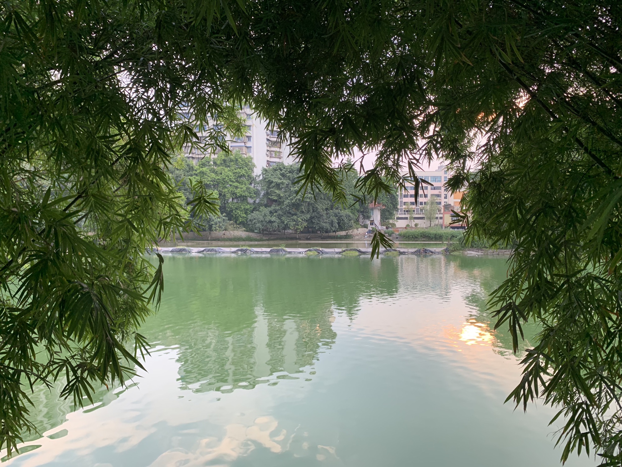 双龙湖公园旅行图片 2