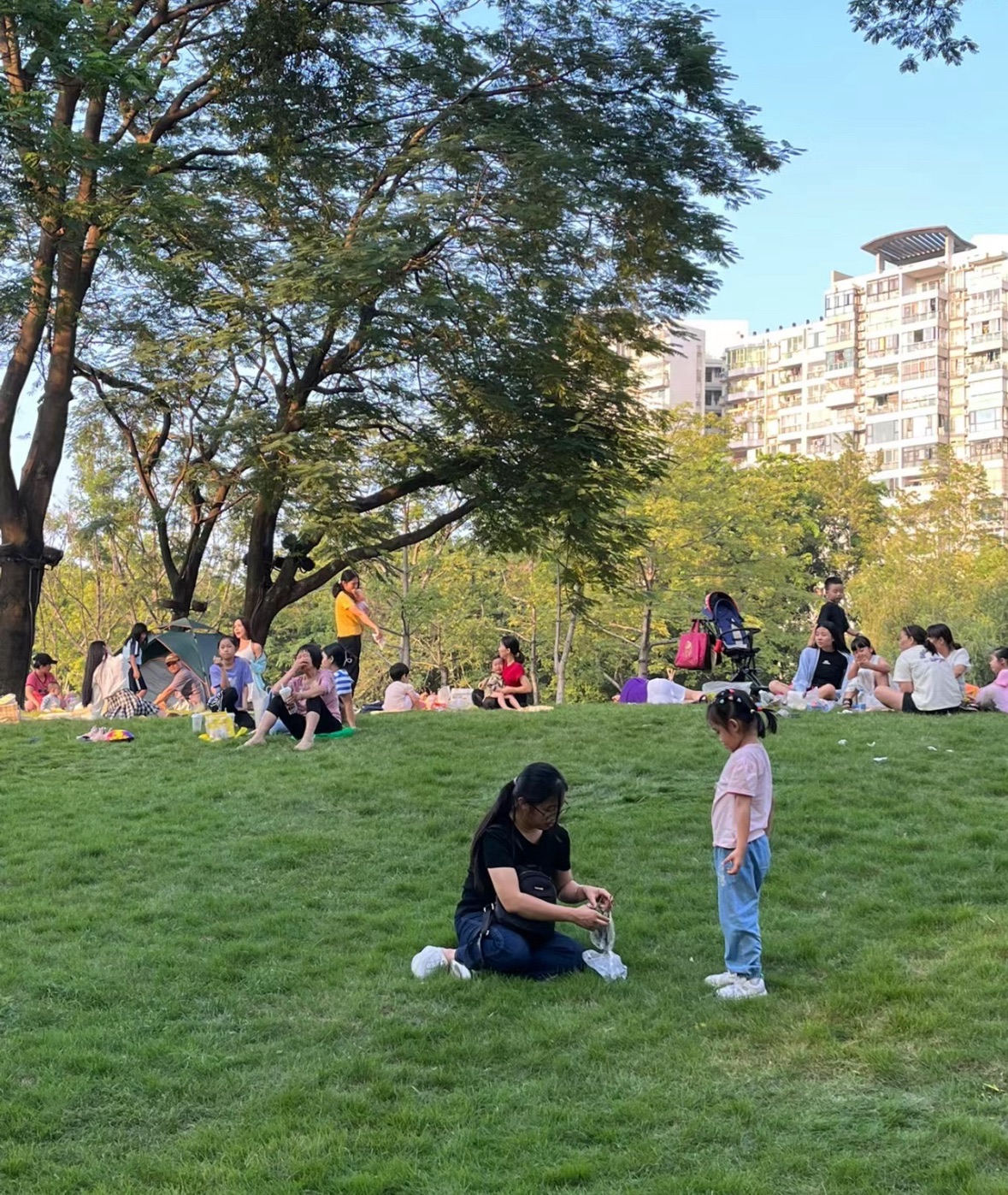 东方明珠公园旅行图片 1