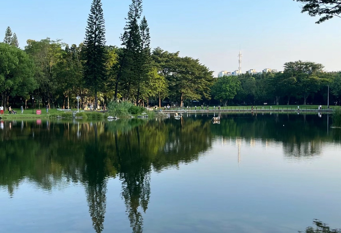 东方明珠公园旅行图片 2