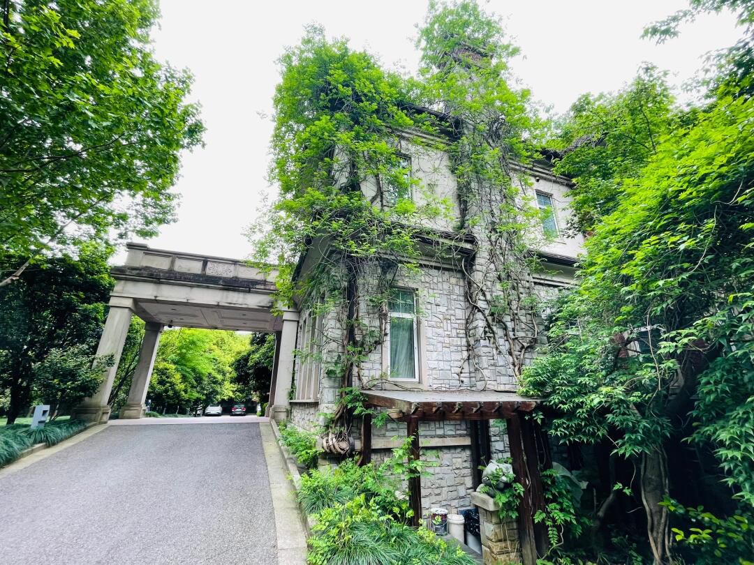 东方明珠公园旅行图片 1