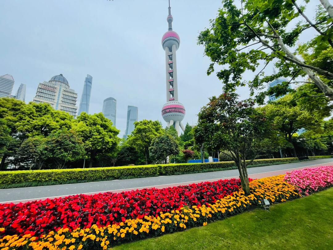 东方明珠公园旅行图片 3