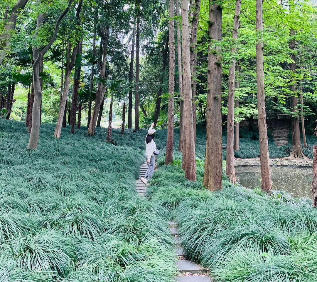 东方明珠公园旅行图片 2