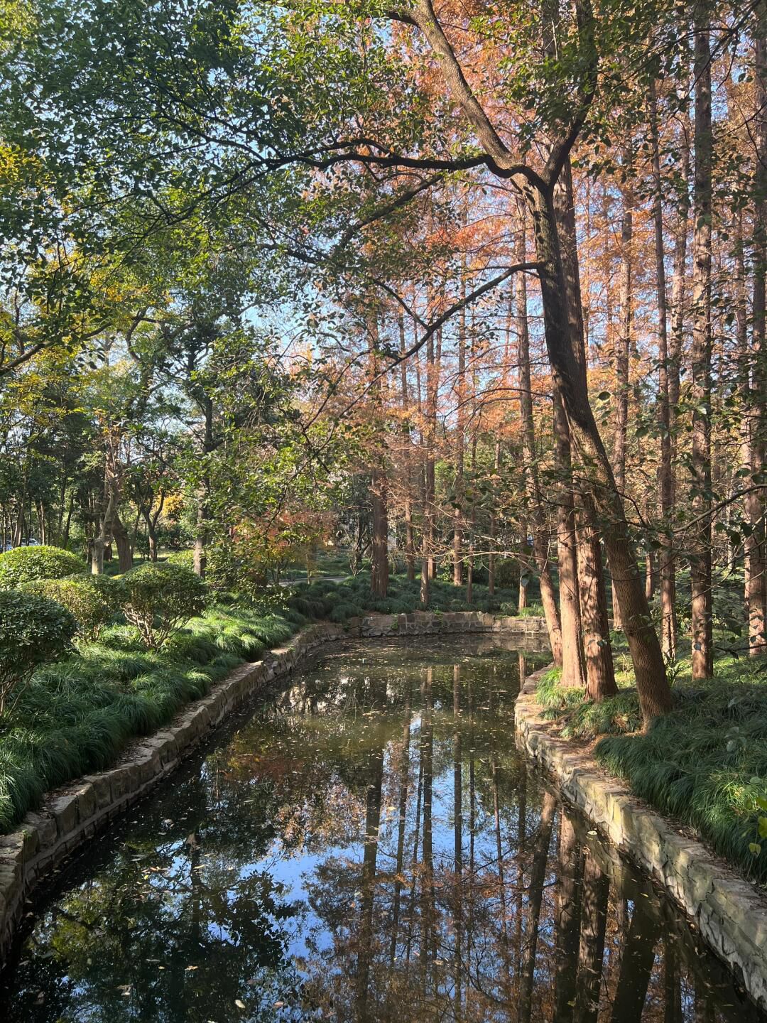 东方明珠公园旅行图片 3