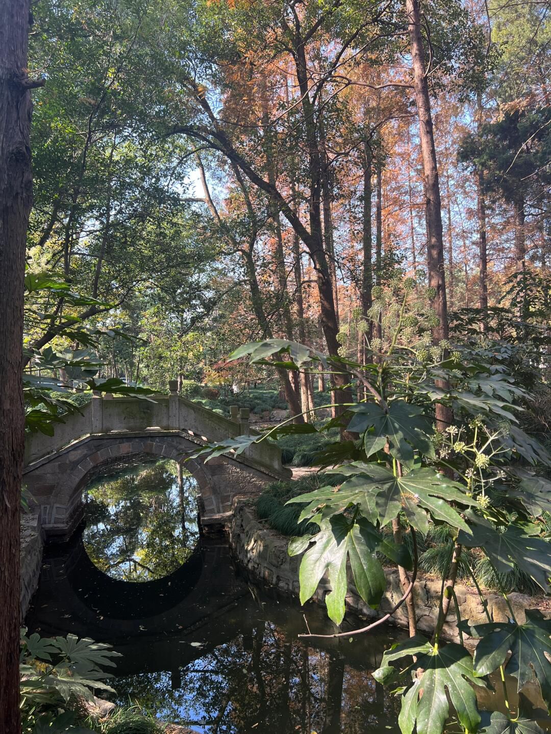 东方明珠公园旅行图片 2