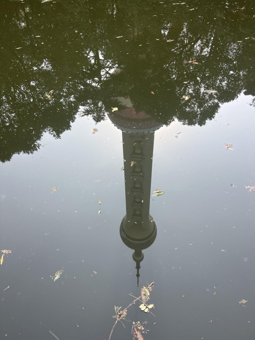 东方明珠公园旅行图片 1