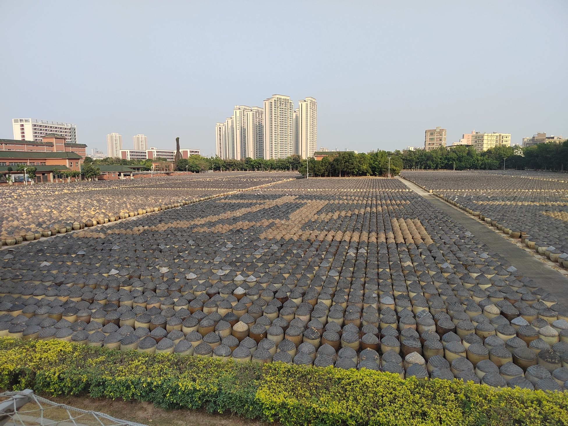 古龙酱文化园旅行图片 2