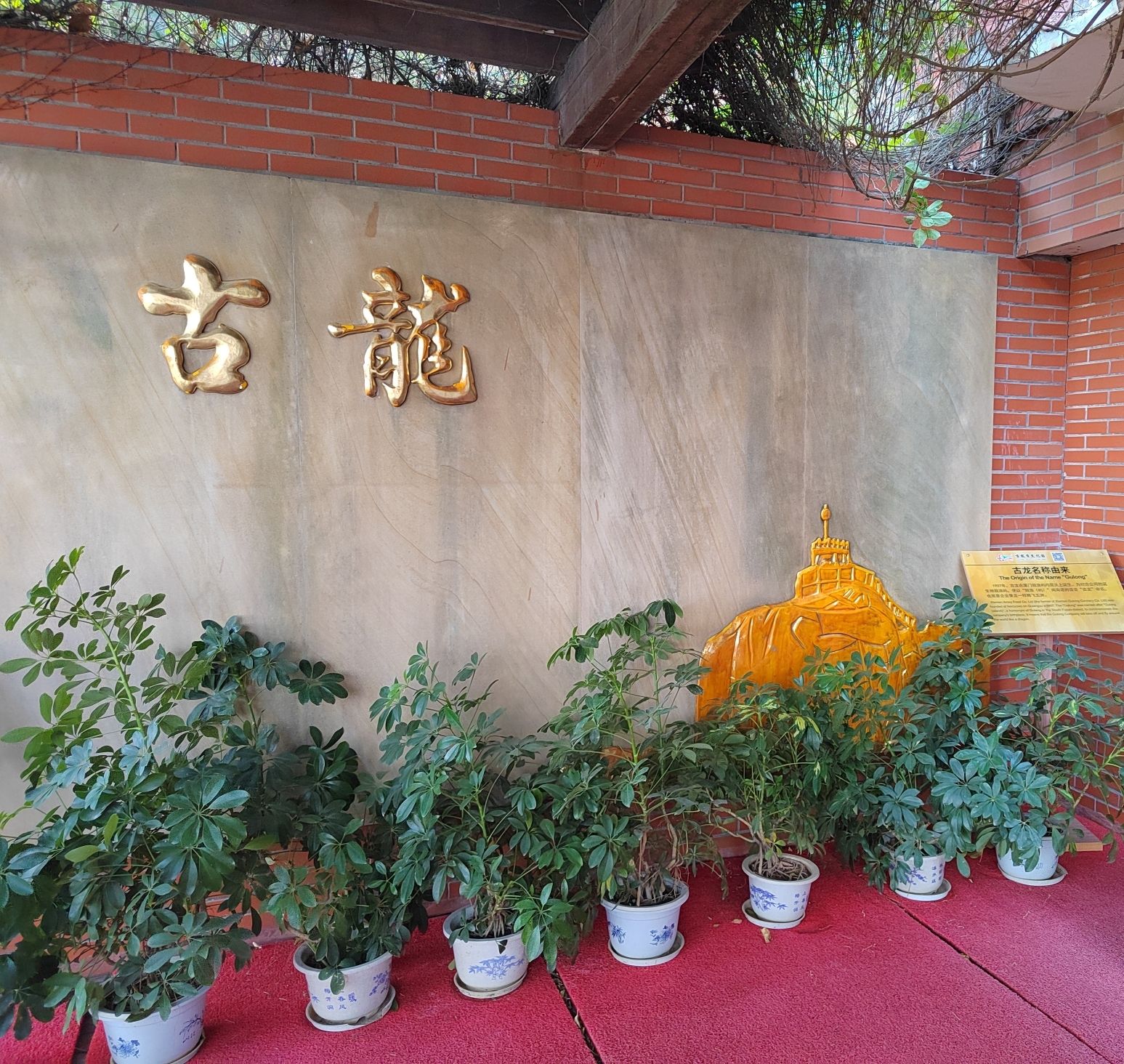 古龙酱文化园旅行图片 3