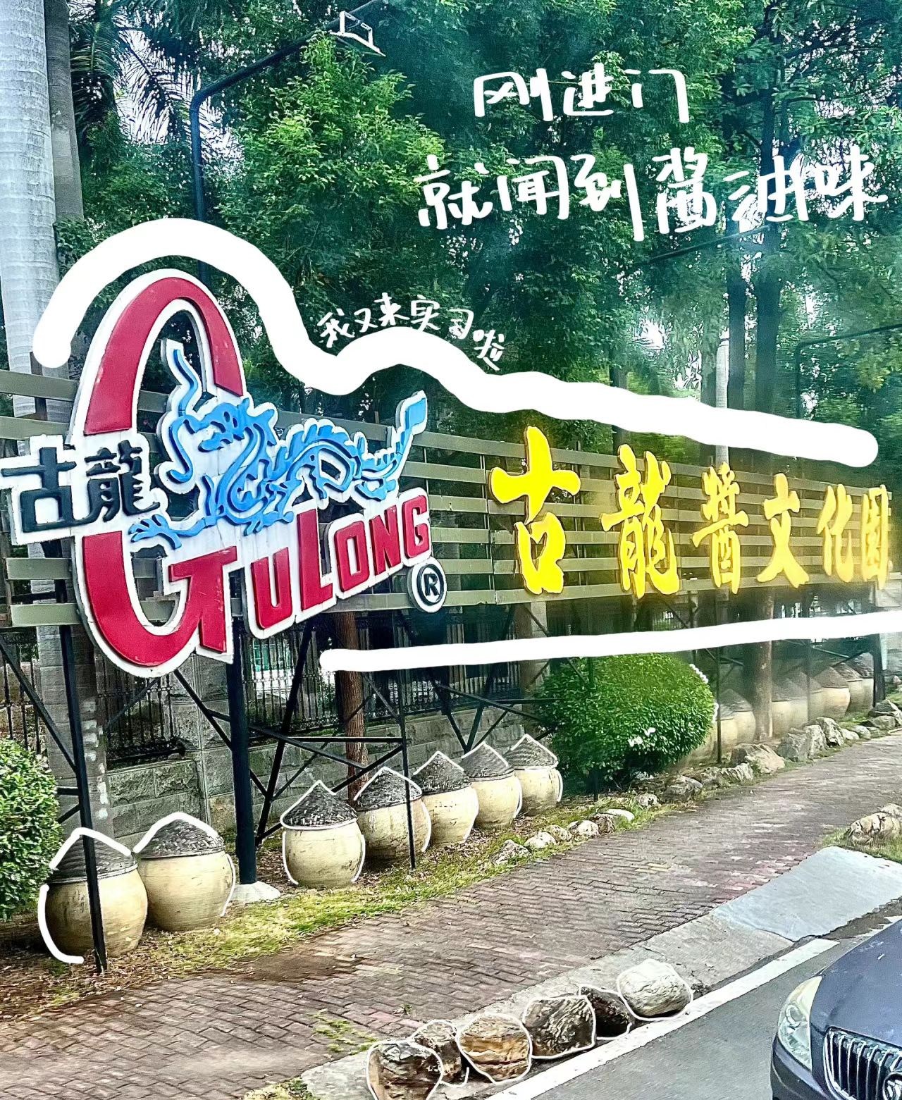 古龙酱文化园旅行图片 1