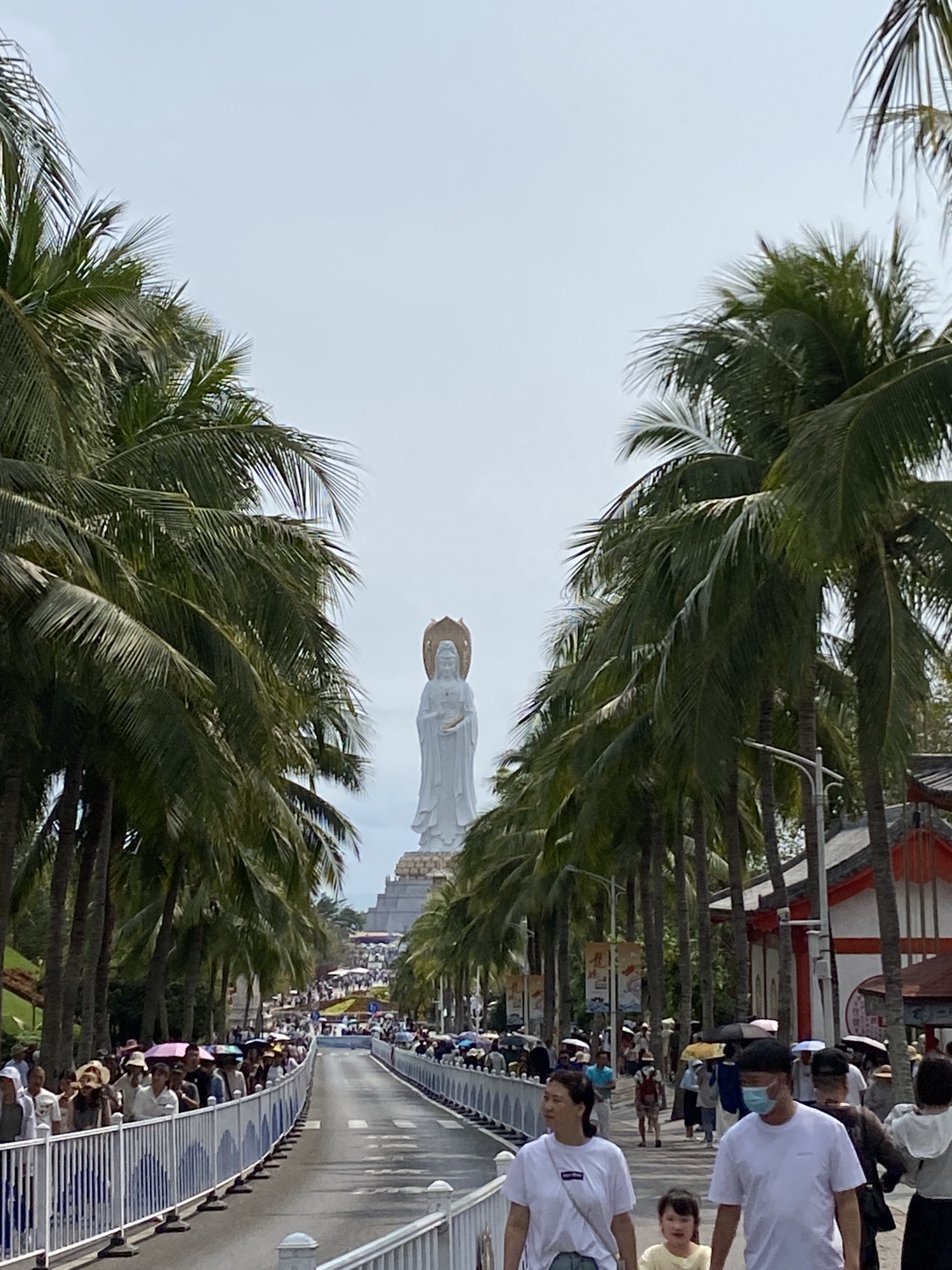 南山文化旅游区-酸豆林保护区