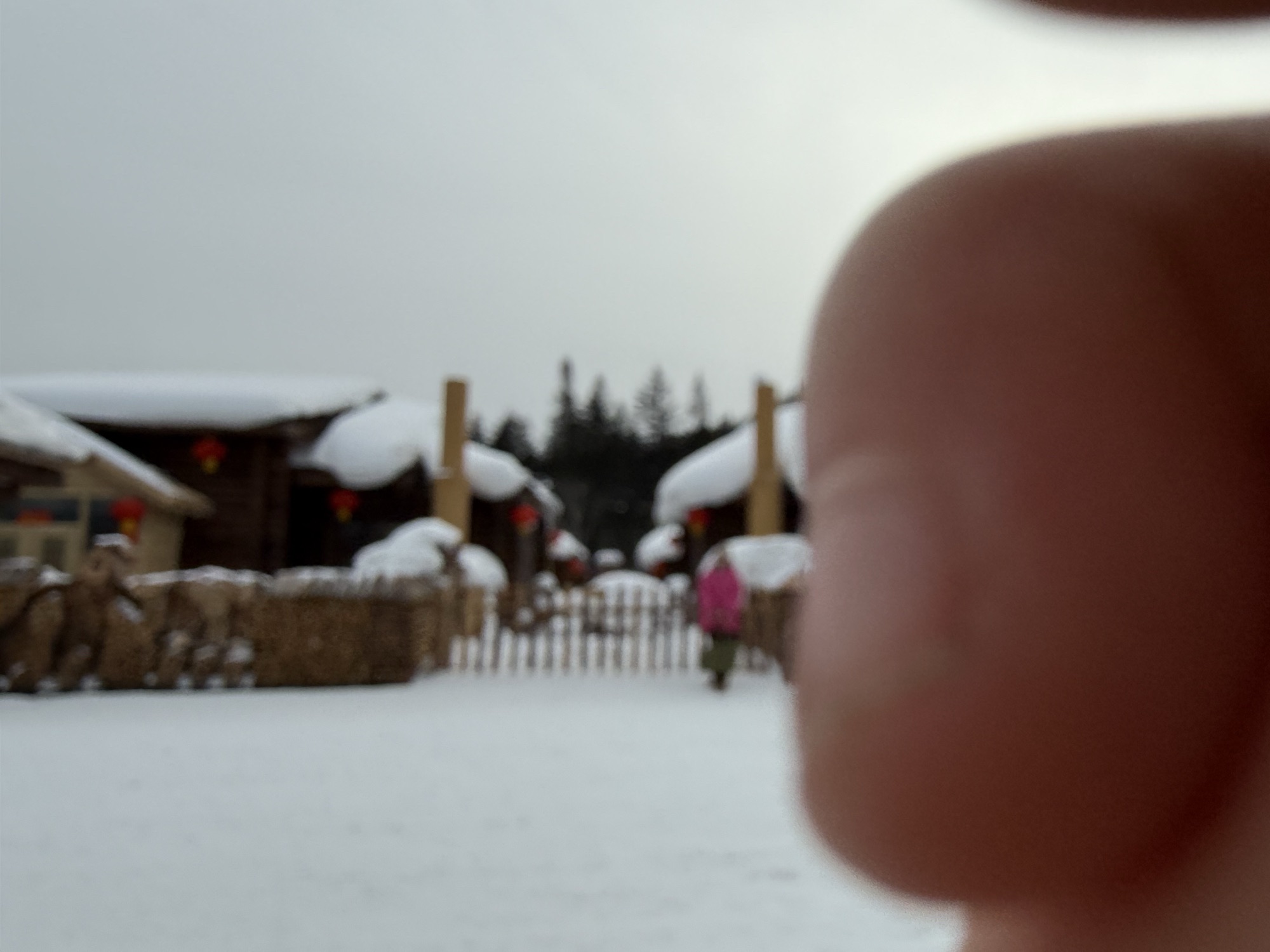 雪乡国家森林公园-中国雪乡风景区旅行图片 2