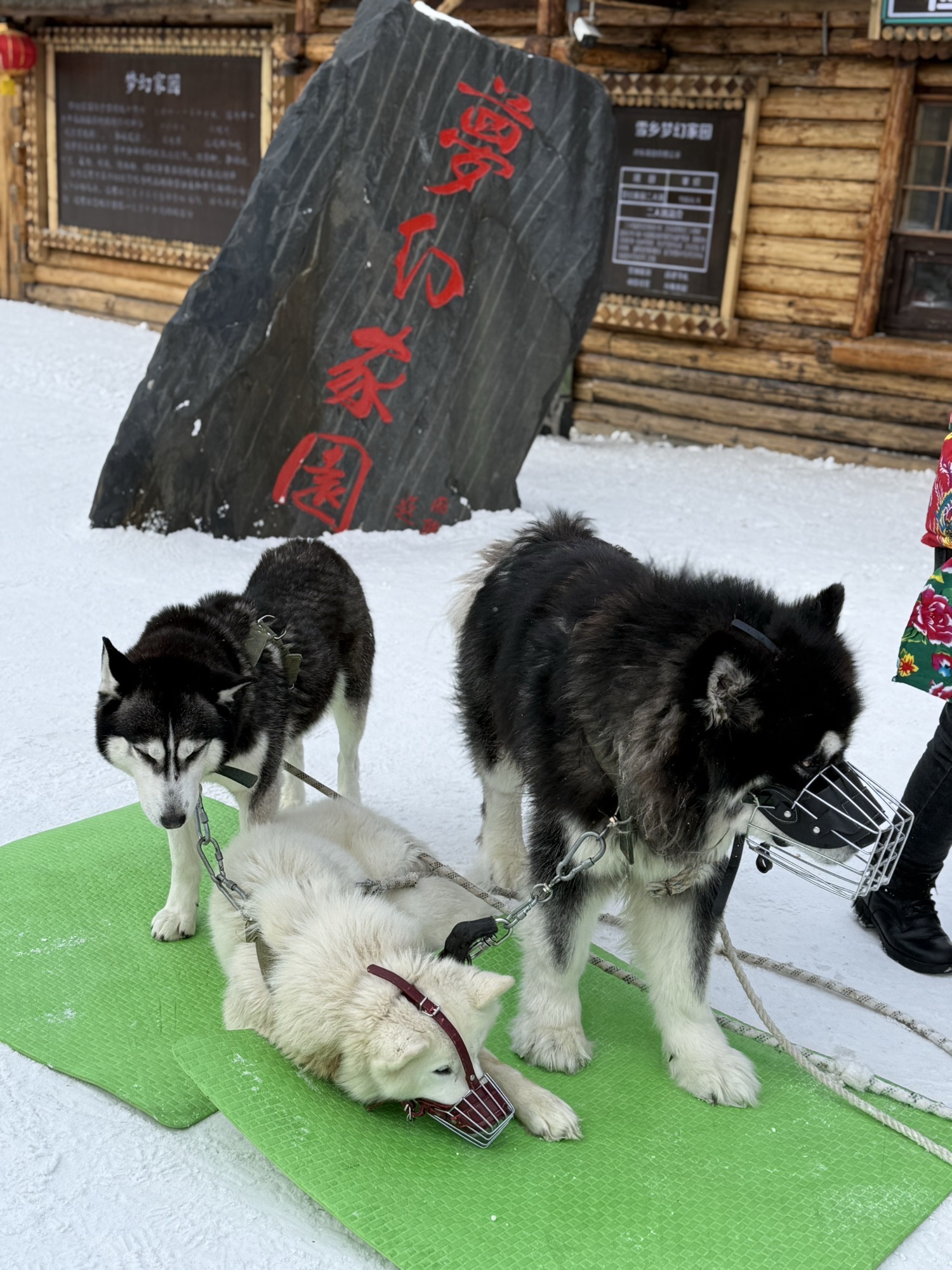 雪乡国家森林公园-中国雪乡风景区旅行图片 1