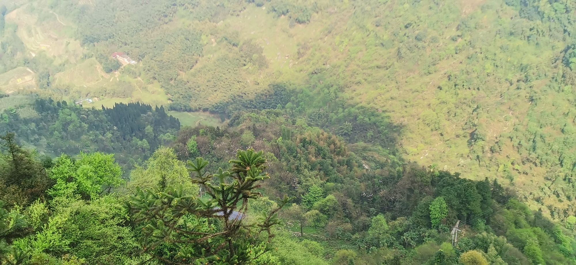 骆崃山风景名胜区旅行图片 3