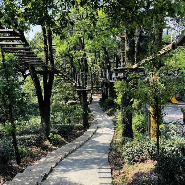 骆崃山风景名胜区旅行图片 1
