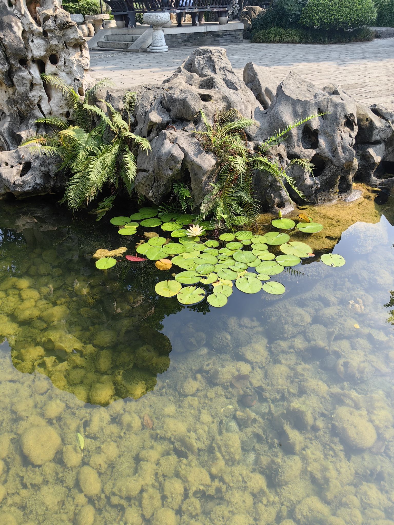 渝航园旅行图片 3