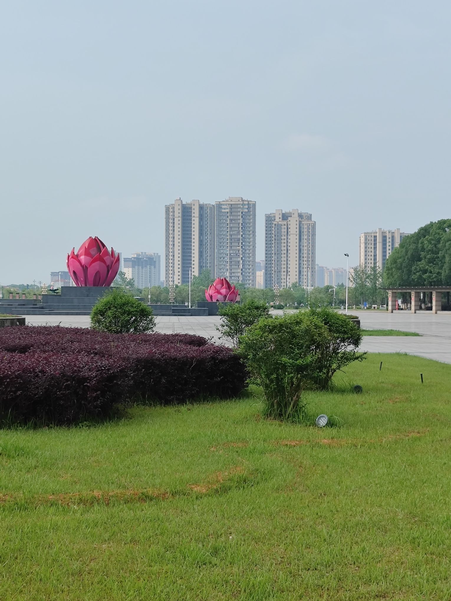泰和市民公园旅行图片 2