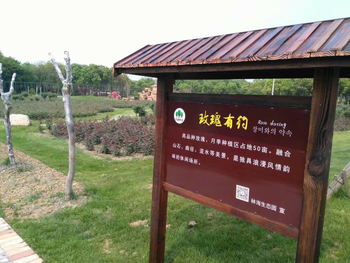 林海生态园旅行图片 2