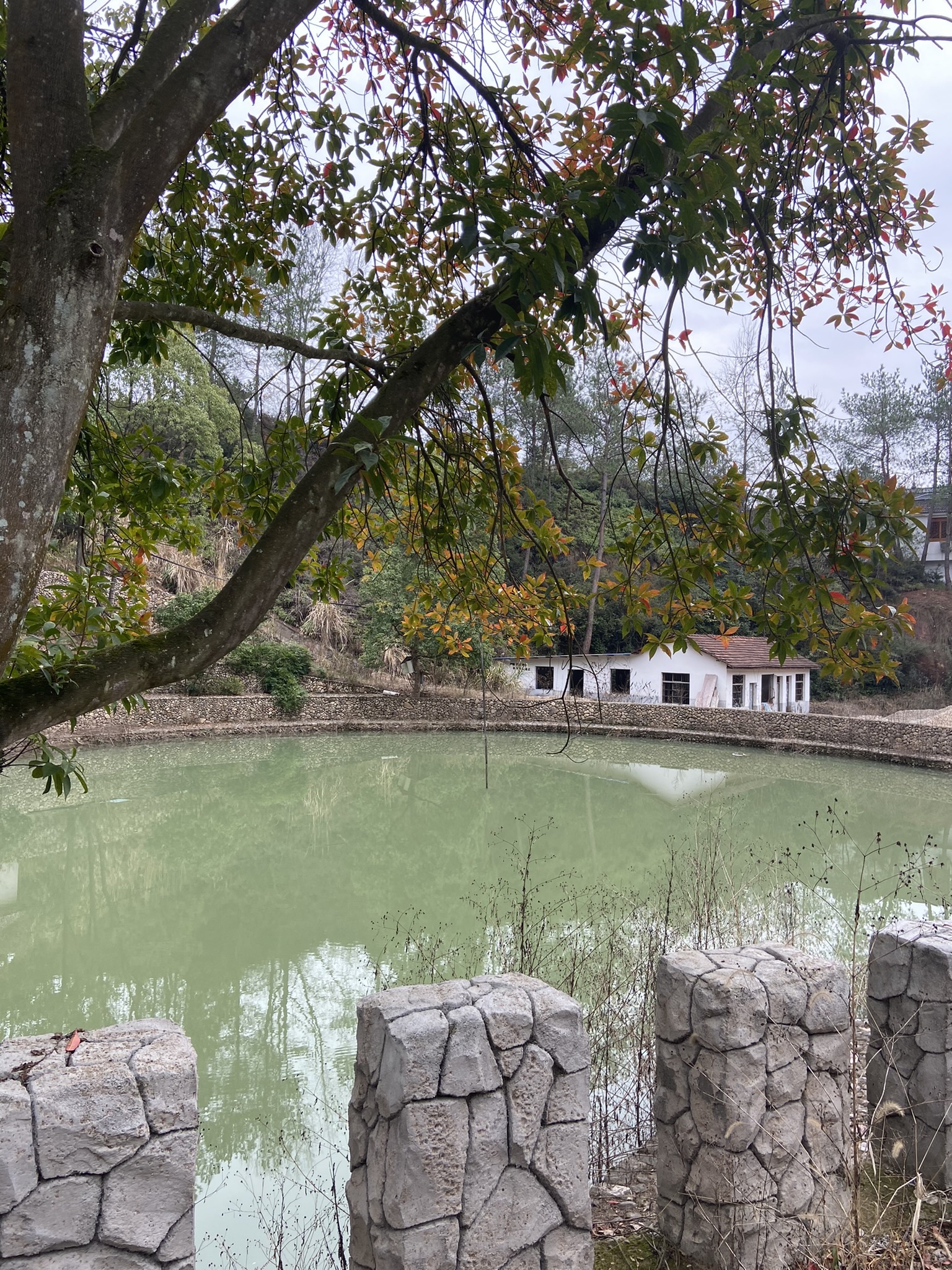 缙云壶镇小龙潭风景区旅行图片 1