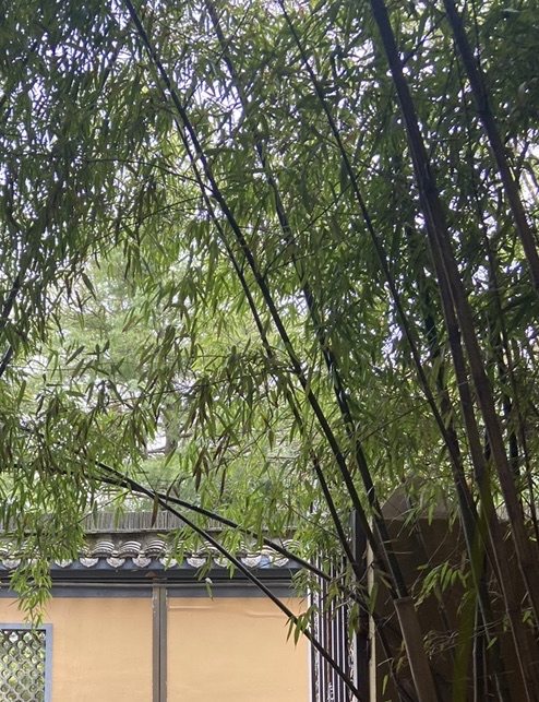 缙云壶镇小龙潭风景区旅行图片 3