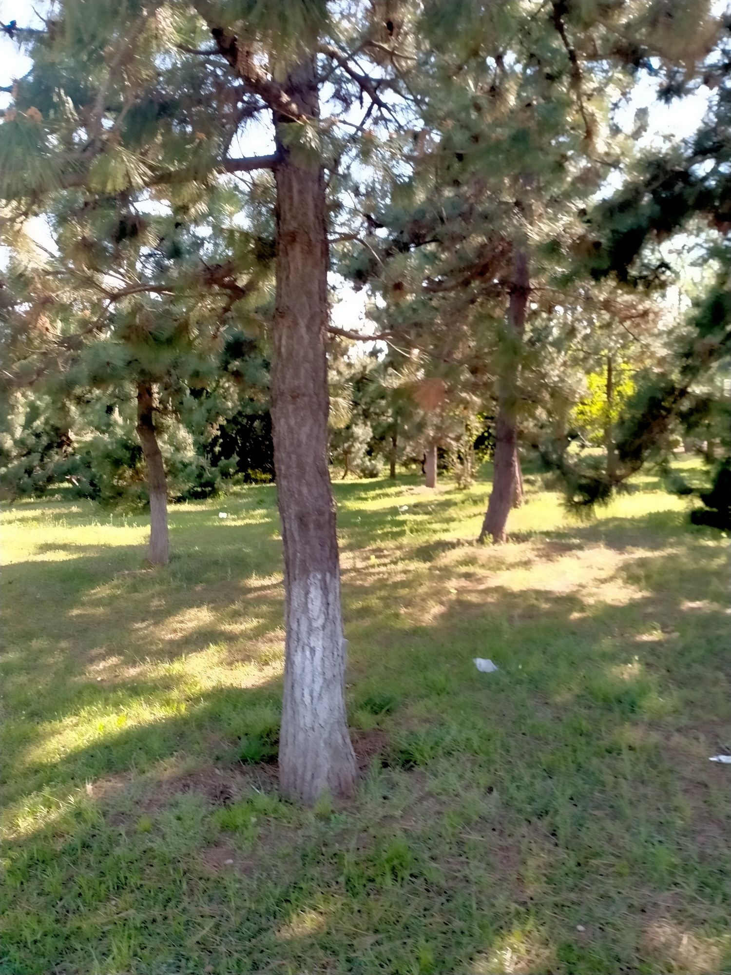英雄山公园旅行图片 1