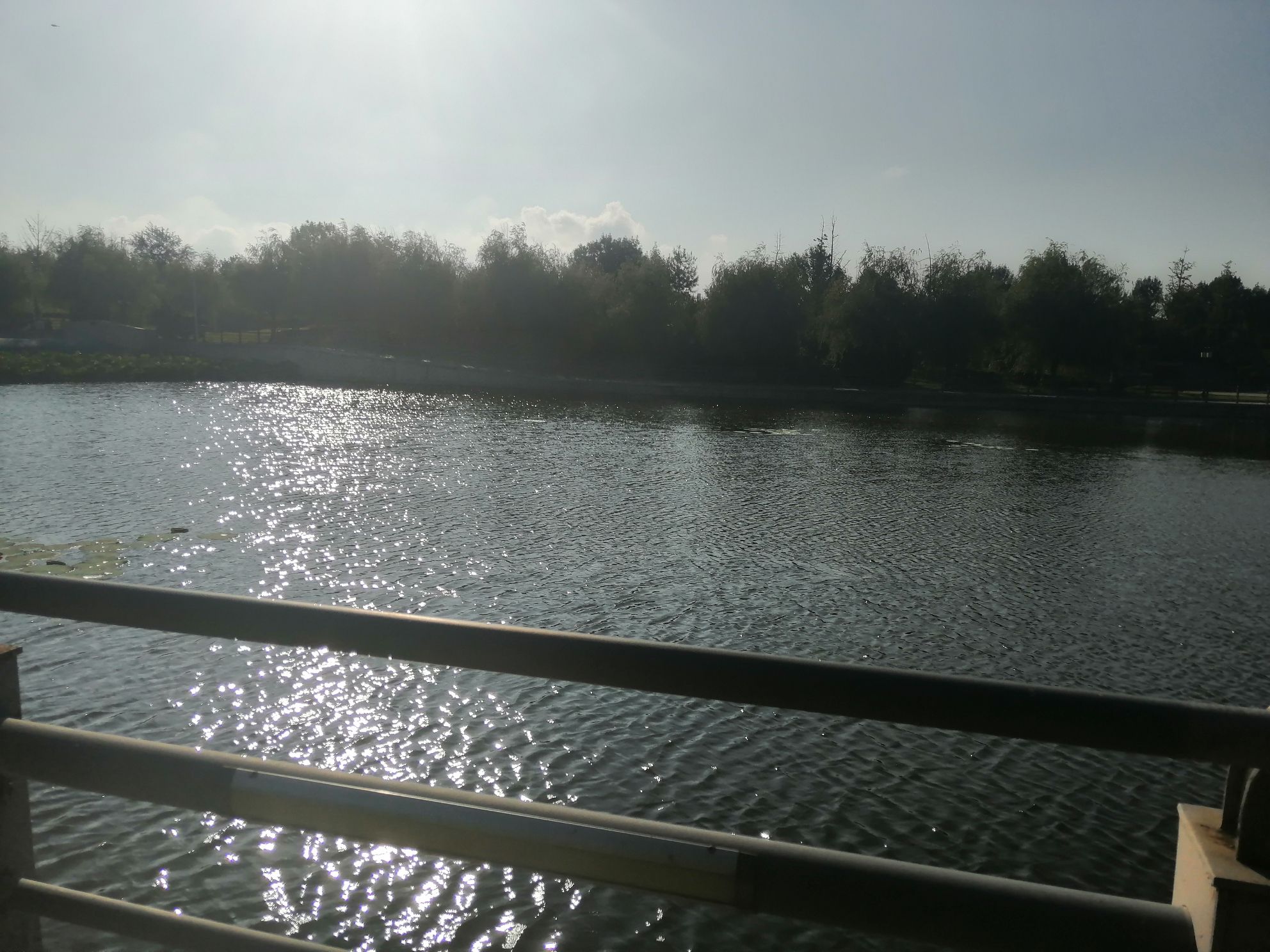 平山河湿地公园旅行图片 2