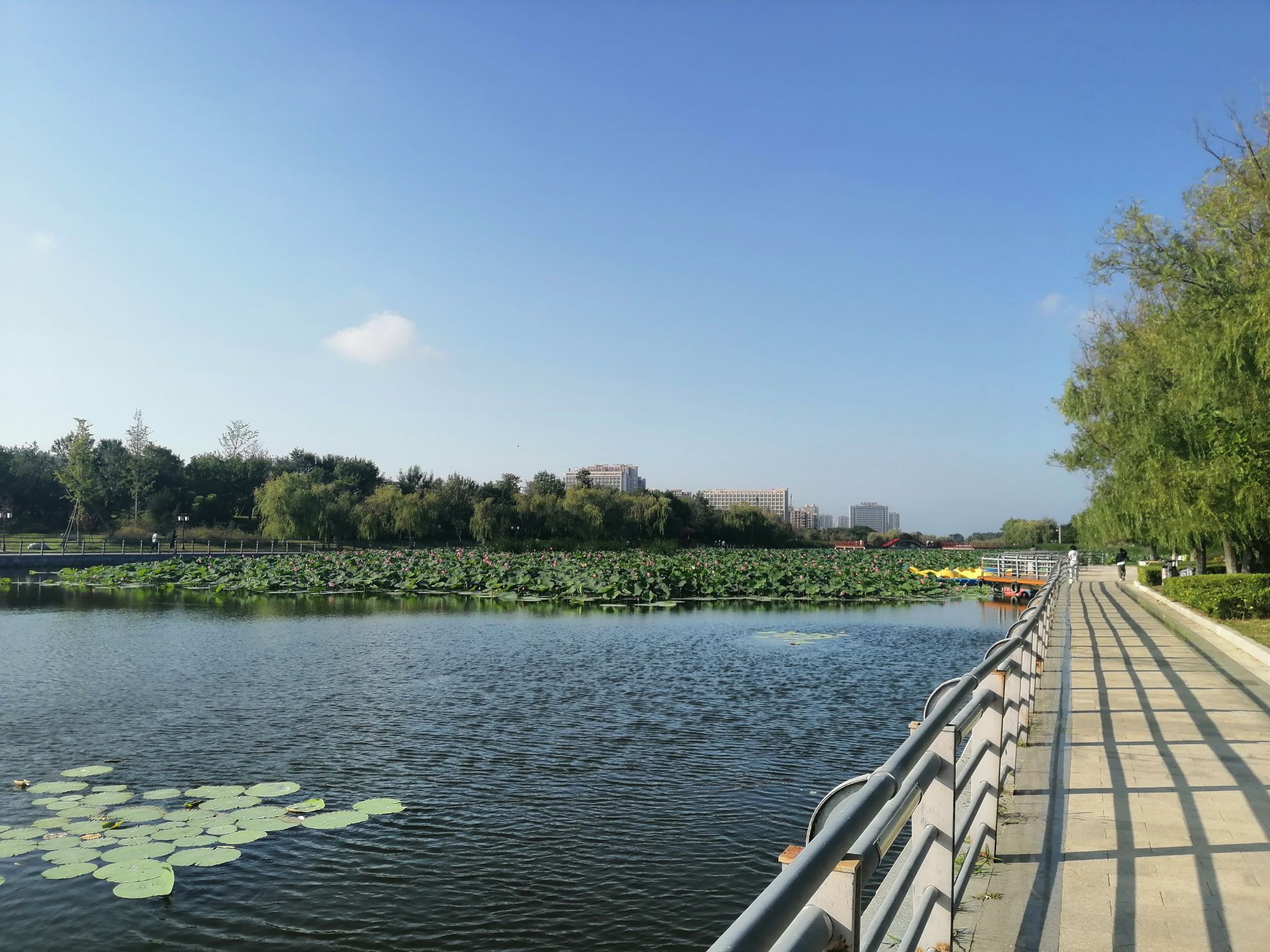 平山河湿地公园旅行图片 1