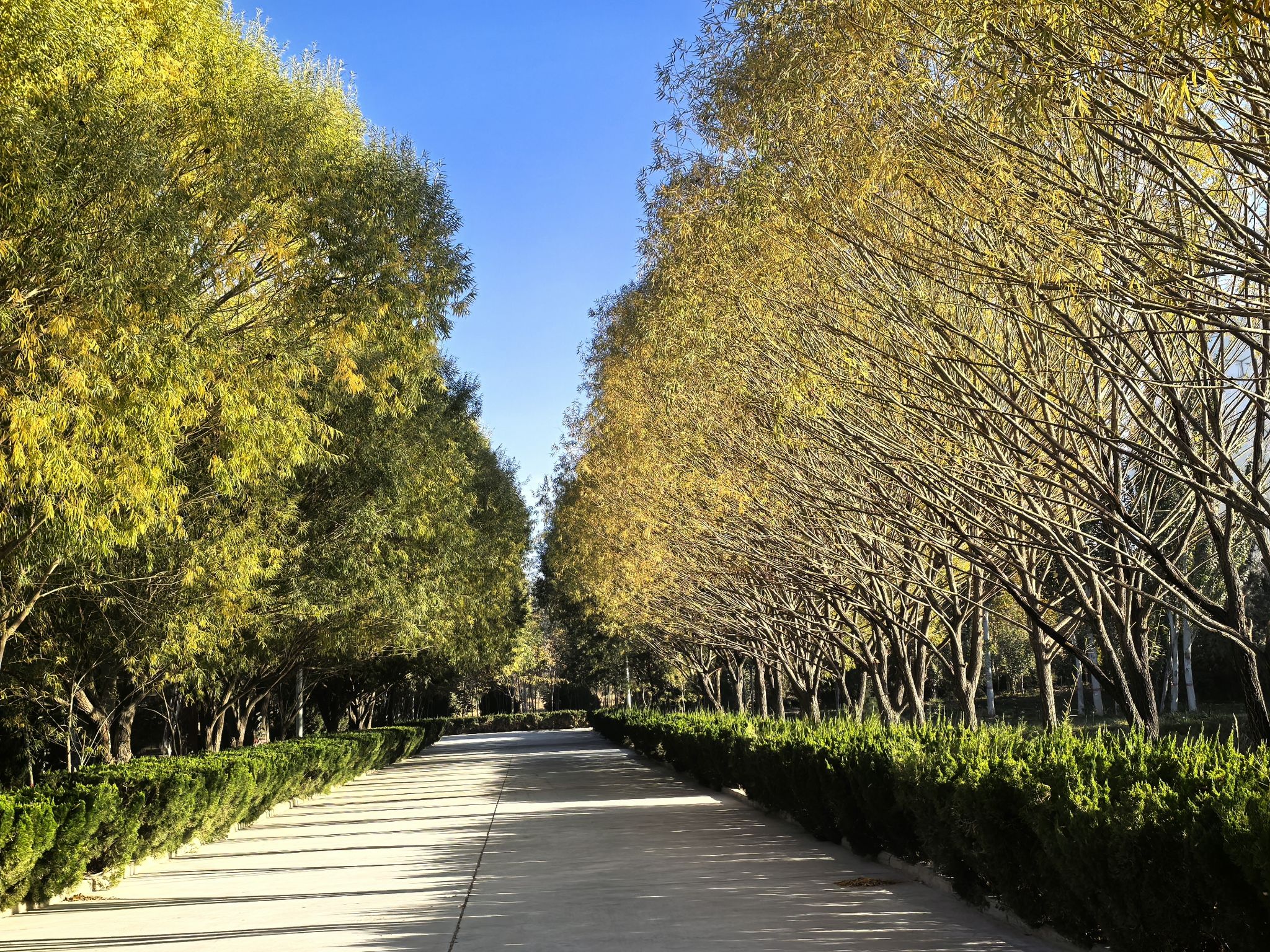 中国科学院遥感与数字地球研究所喀什园区