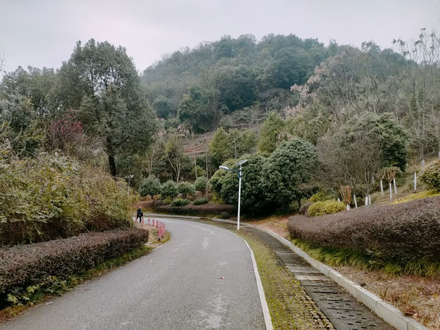 九老峰景区旅行图片 1