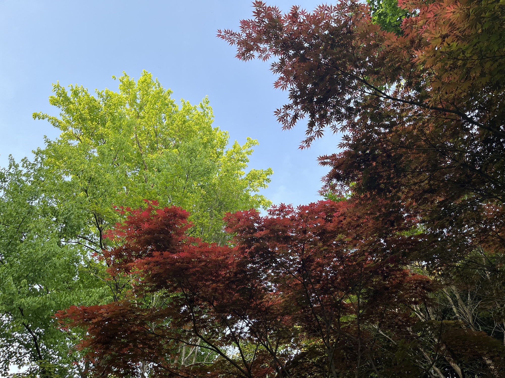 江海文化公园旅行图片 2