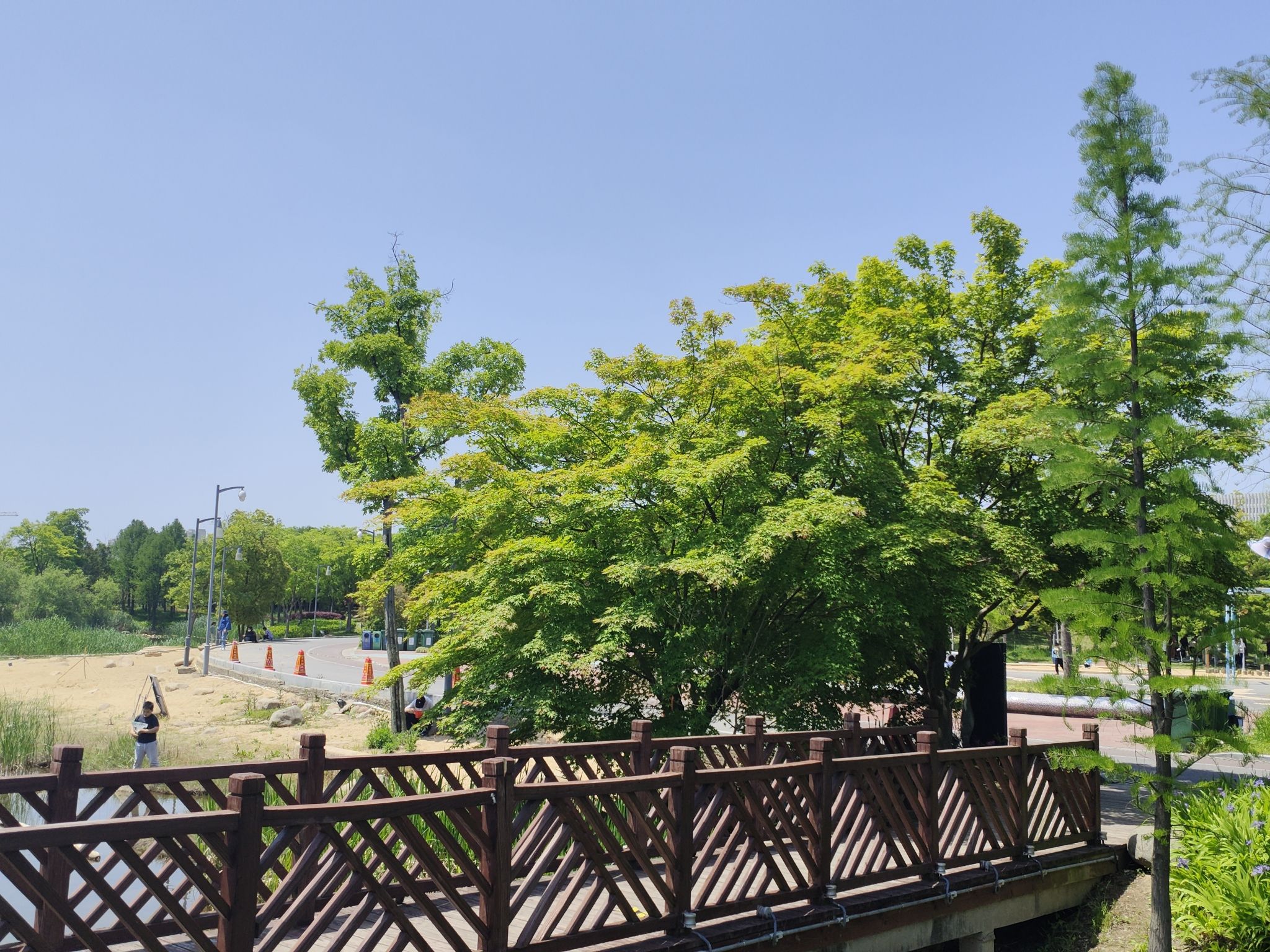 江海文化公园旅行图片 2