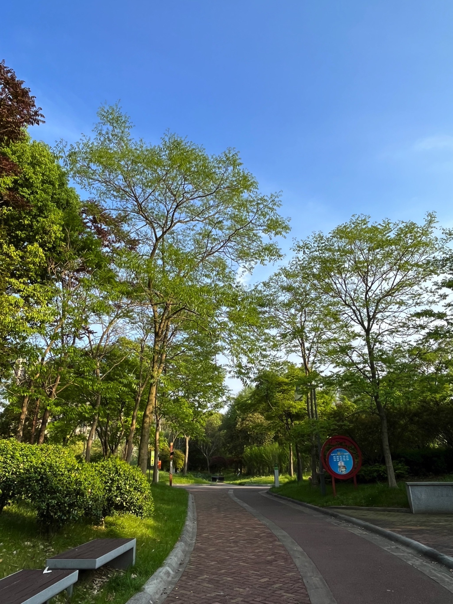 江海文化公园旅行图片 1