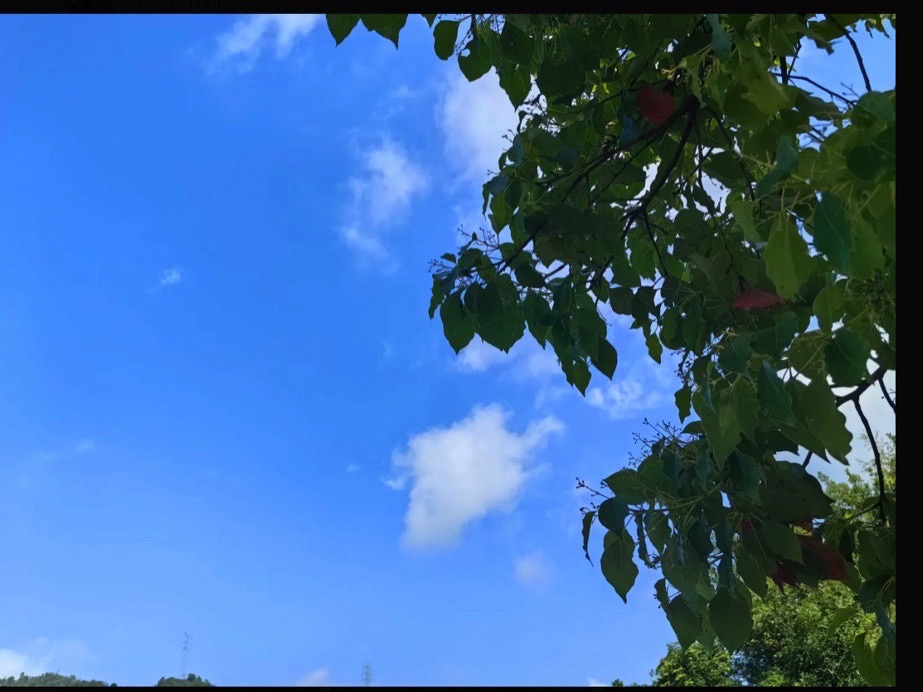 白龙山景区旅行图片 3