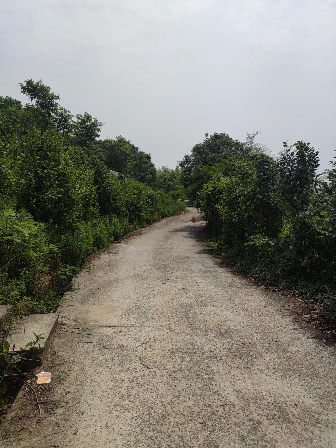 竺山公园旅行图片 1