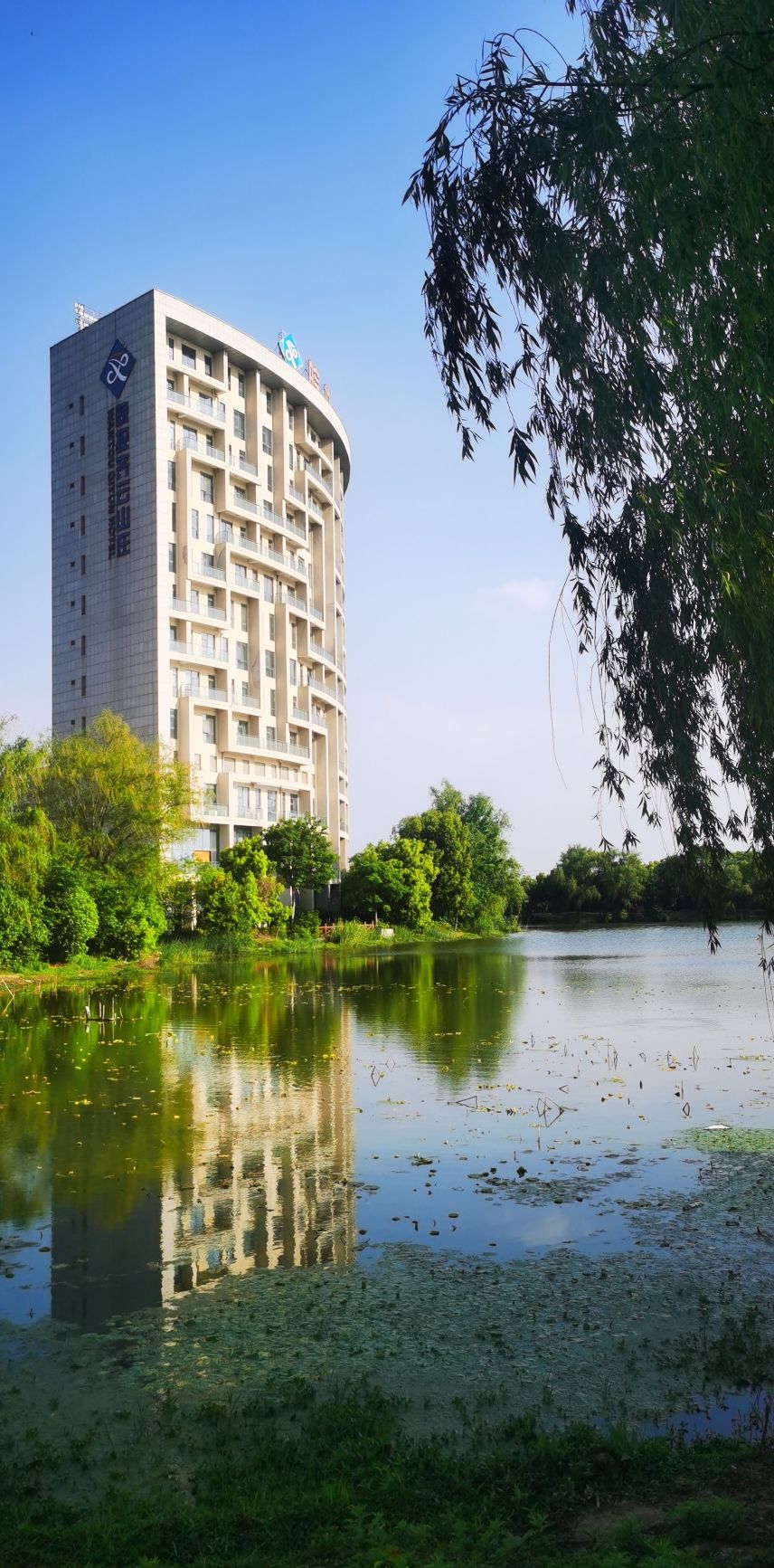 翠湖公园旅行图片 1